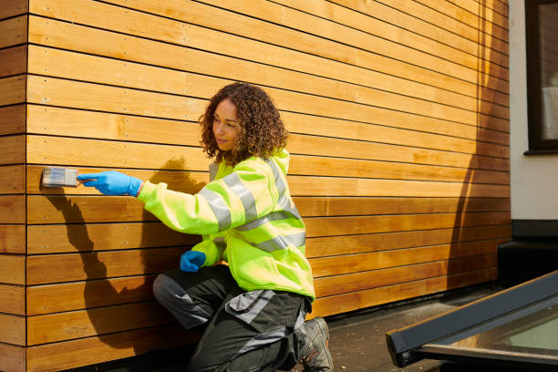 Best Historical Building Siding Restoration  in Salem, WV